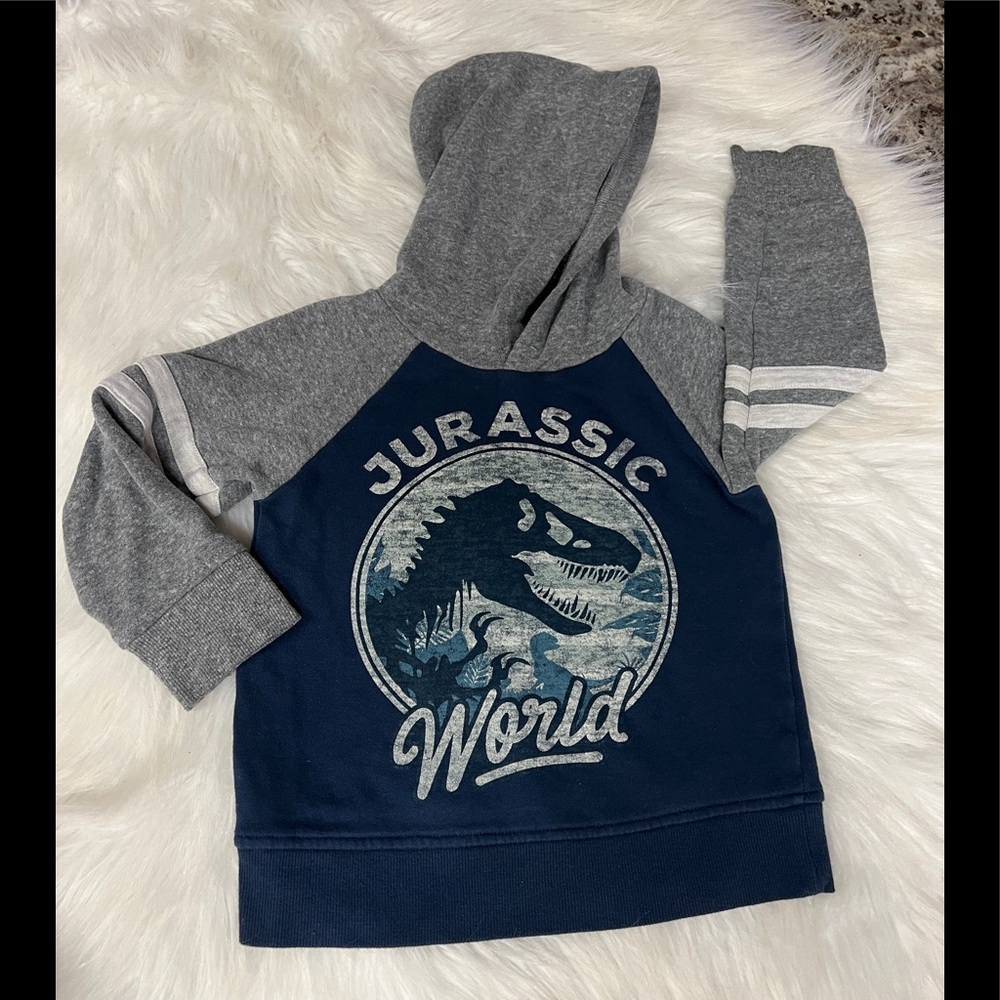 Jurassic World Sweatshirt Hoodie